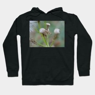 weeds Hoodie